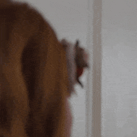Surprise Bau GIF by Paramount+