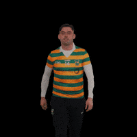 All-Ireland GIF by AIB
