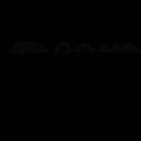 BrandBurp love happy fun marketing GIF