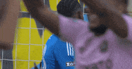 Come On No GIF by Major League Soccer