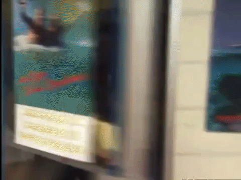 fools gold nicksplat GIF