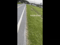 End GIF