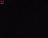 Haunted House Stars GIF by Arrow Video