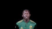 portland timbers chara GIF by Timbers
