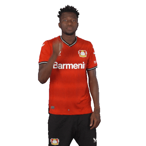 Happy Football Sticker by Bayer 04 Leverkusen