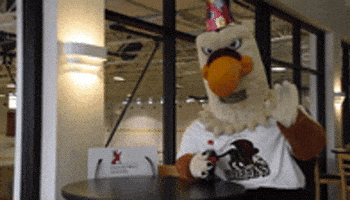 mascot griffins GIF by Gwynedd Mercy University