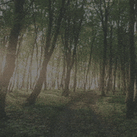 Follow Passion GIF by Learner Circle