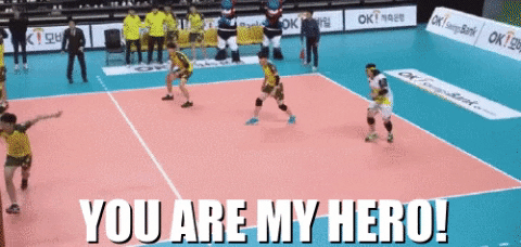 Emugifs giphygifmaker point volleyball hero GIF