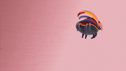 Art Flying GIF by sahlooter