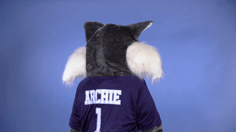 Education Mascot GIF by St. Louis Community College