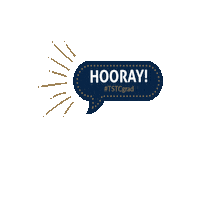 Happy Fun Sticker by Texas State Technical College