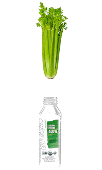 EvolutionFresh drink healthy glow fresh Sticker