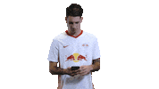 Oh Yeah Omg Sticker by RB Leipzig