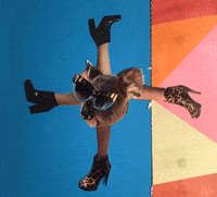 Happy Dance GIF by Willemijn van Arnhem