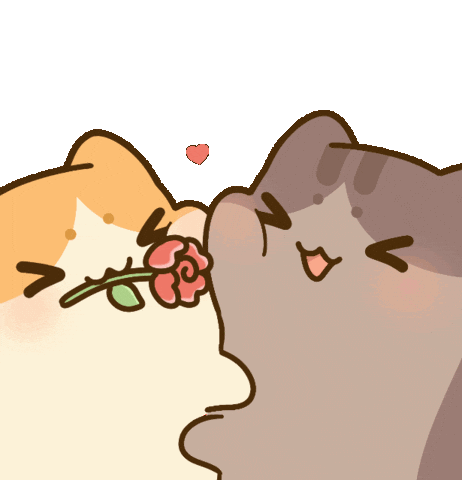 Cats Hello Sticker by Bichi Mao