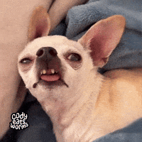 Mood Help GIF