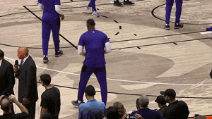 lebron james basketball GIF by NBA