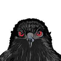 gaziantepfk gool gaziantep gfk gaziantepspor Sticker