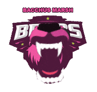 Bears Sticker by F45 Training Bacchus Marsh