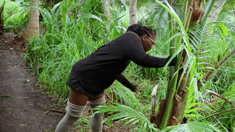 Idol Looking GIF by Survivor CBS