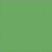 Feminism Seguro GIF