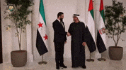 Uae Syria GIF