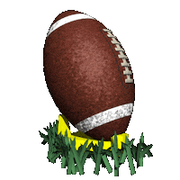 Football 3D Sticker