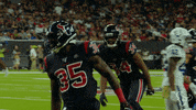 National Football League GIF by Houston Texans