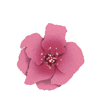Flower Rose Sticker