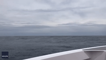Amazing Double Breach Leaves Whale Watchers Stunned