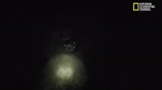 mars GIF by National Geographic Channel