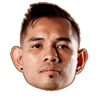 Muhammad Ali Fighting Sticker by World Boxing Super Series