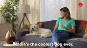 Dog GIF by BuzzFeed