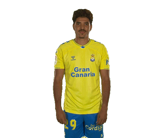 Gran Canaria Coco Sticker by UD Las Palmas