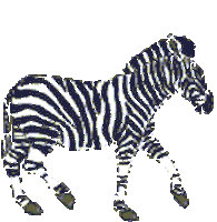 Zebra Sticker