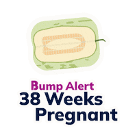 Pregnancy 38 Weeks Sticker by The Bump