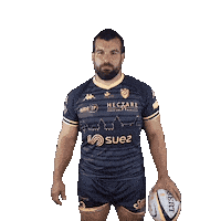 Pro D2 Rugby Sticker by US Carcassonne