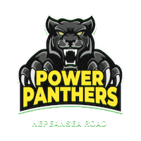 Cricket Panthers Sticker by Sportobuddy
