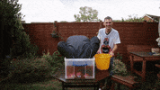 Jackass Lol GIF by Where's My Challenge?