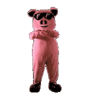 Ribs Sticker by Crazy Pig