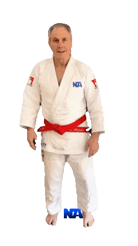 Judo Grappling Sticker by NA Effective Fighting
