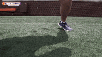 football university GIF by Clemson Tigers