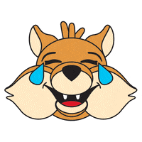 Fox Lol GIF by Université de Sherbrooke