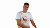 Czech Republic Win GIF by Český olympijský tým