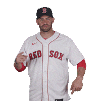 Red Sox Baseball Sticker by Boston Red Sox