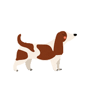 Sticker by Dog Club Miami