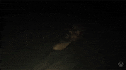 Alan Wake Gasp GIF by Xbox