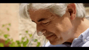 vrt  GIF