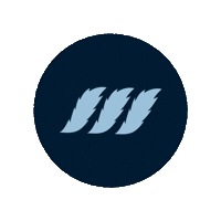 Pay Srilanka Sticker by Mintpay