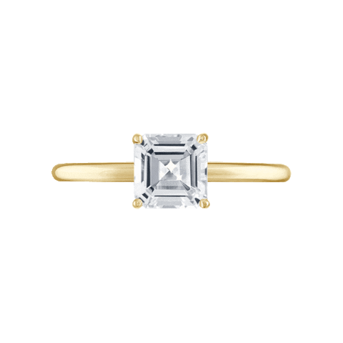 Wedding Love Sticker by Stephanie Gottlieb